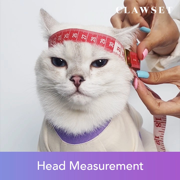 How to Measure Pet Size