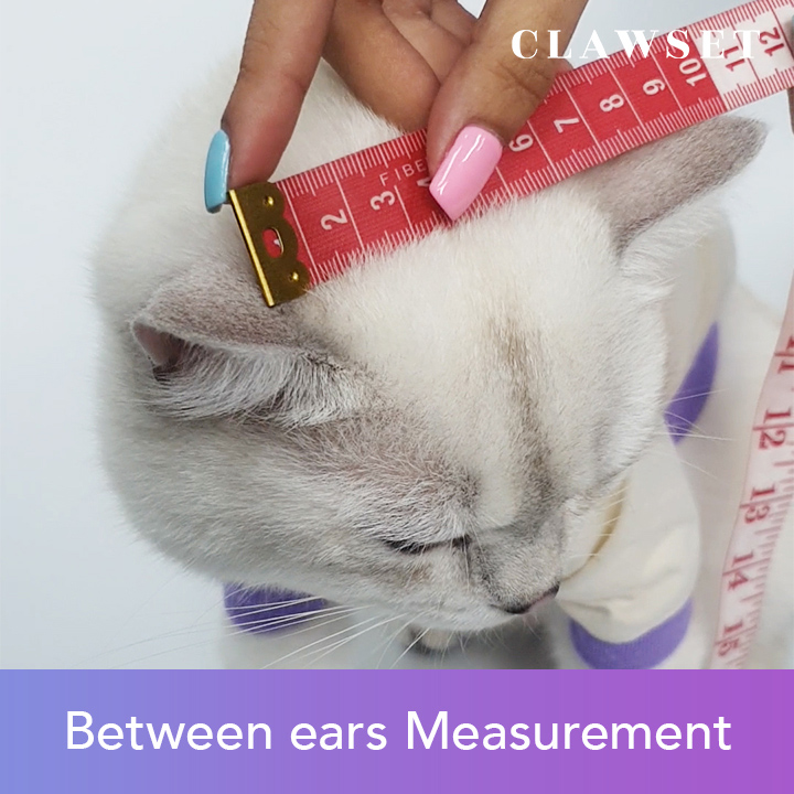 How to Measure Pet Size