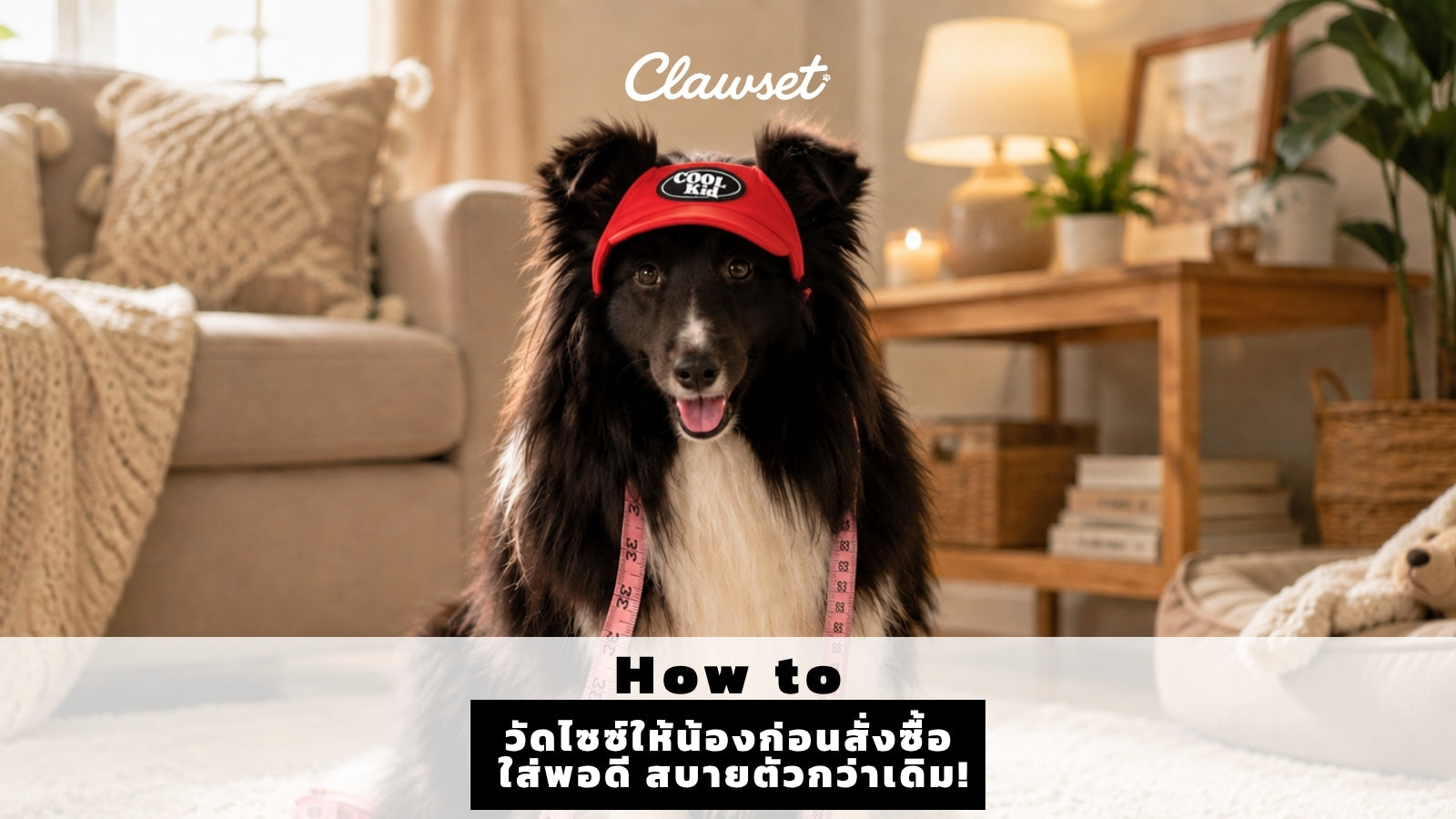 How to วัดไซซ์ให้น้องก่อนสั่งซื้อ ใส่พอดี สบายตัวกว่าเดิม! 🐶💙📏