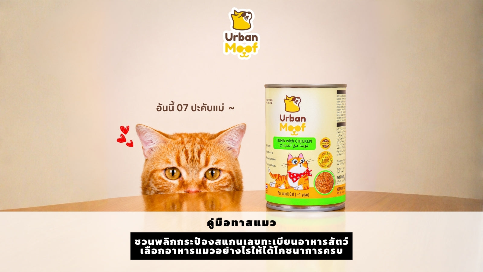 ชวนพลิกกระป๋องสแกนเลขทะเบียนอาหารสัตว์เลือกอาหารแมวอย่างไรให้ได้โภชนาการครบ