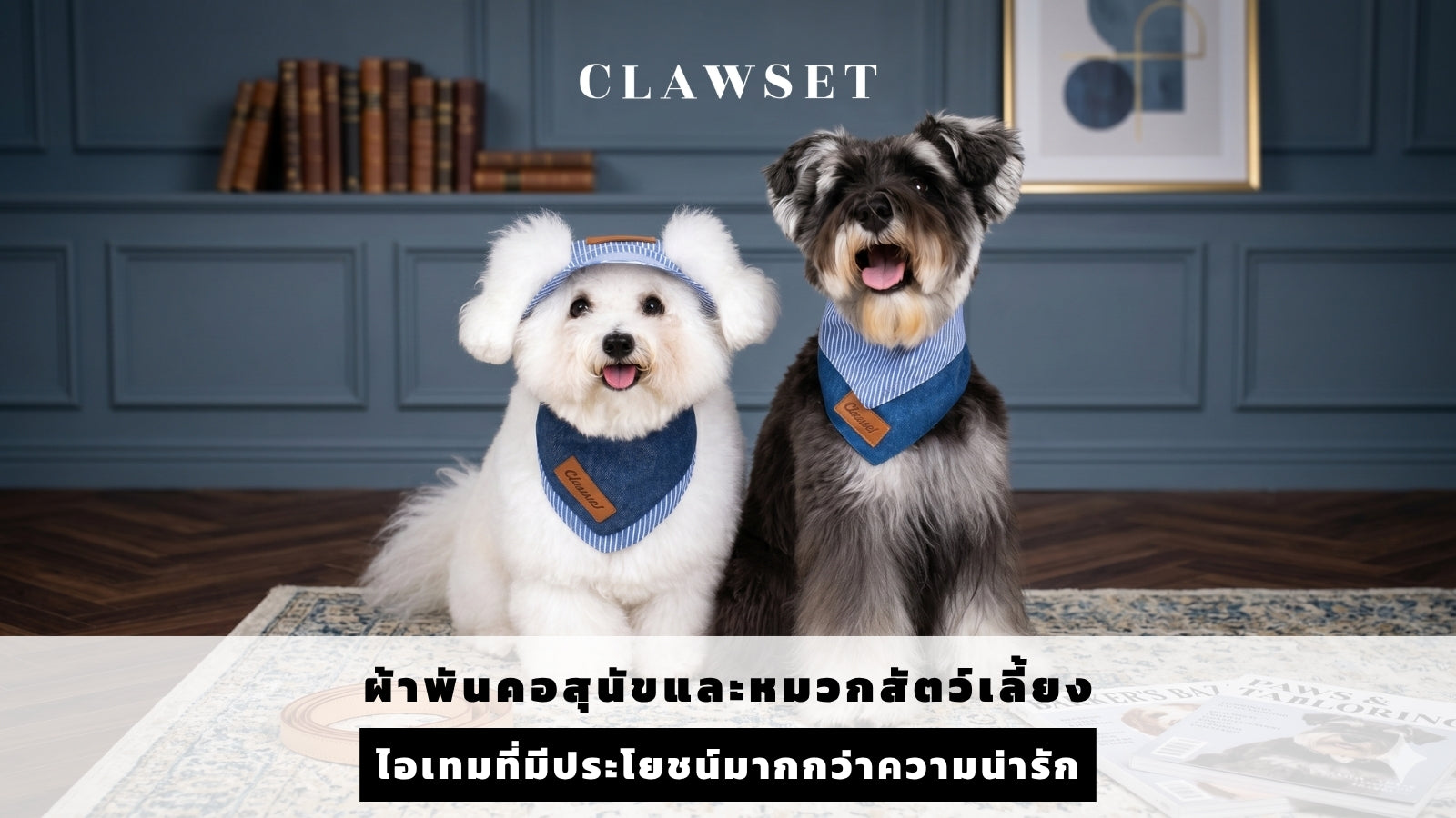 ผ้าพันคอและหมวกสัตว์เลี้ยง ไอเทมที่มีประโยชน์มากกว่าความน่ารัก