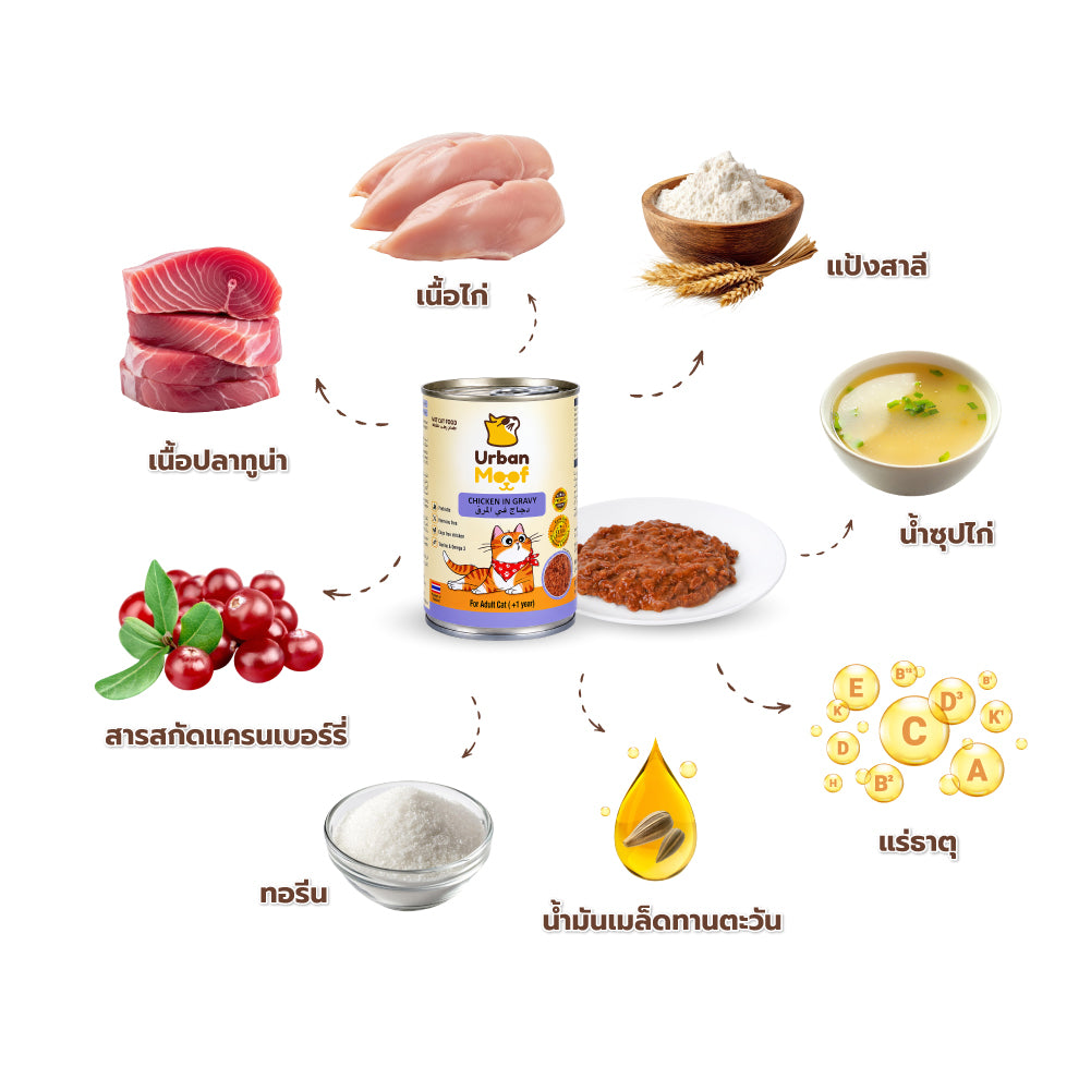 URBAN MOOF | WET CAT FOOD -  CHICKEN IN GRAVY