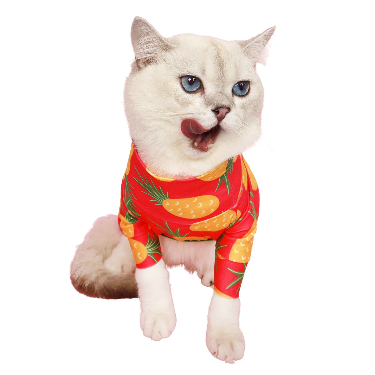 CLAWSET Studio | Fruity Protection suit - Pineapple