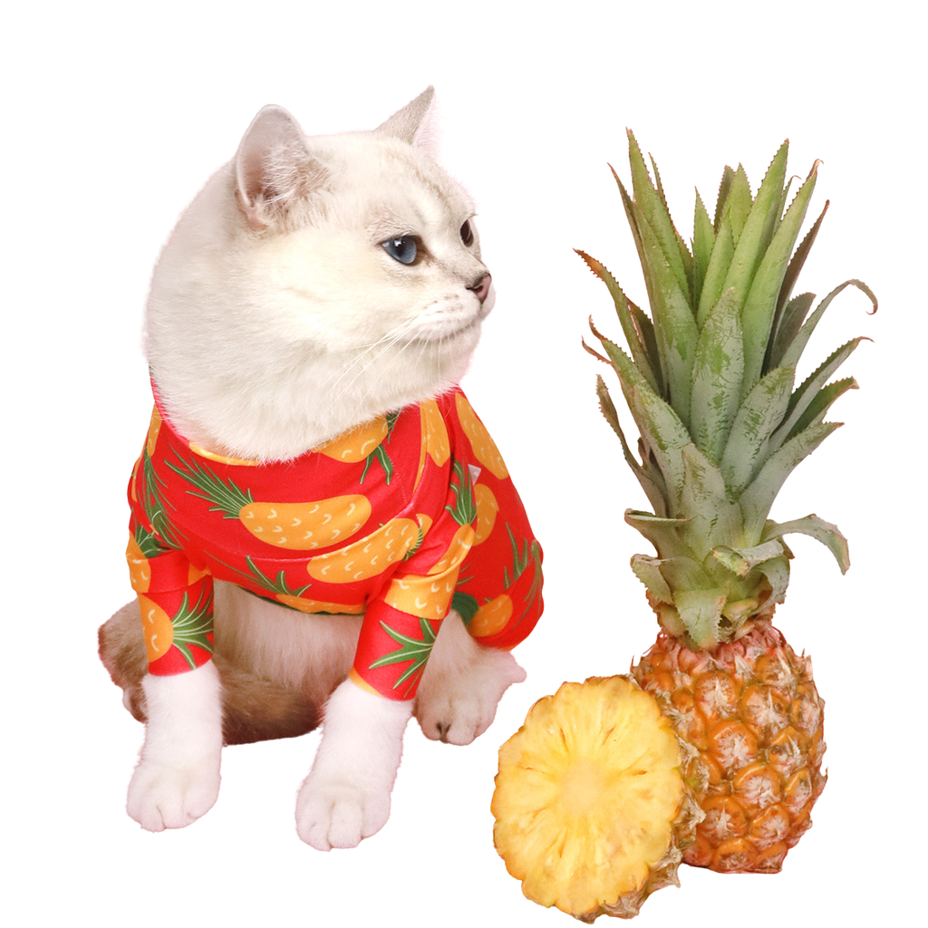 CLAWSET Studio | Fruity Protection suit - Pineapple - CLAWSET BANGKOK