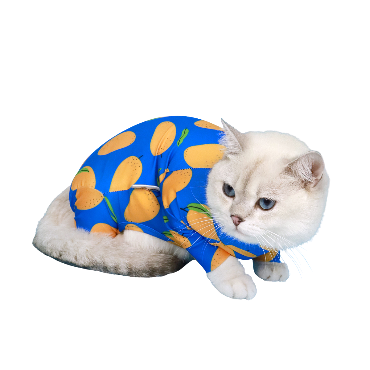 CLAWSET Studio | Fruity Protection suit -Mango