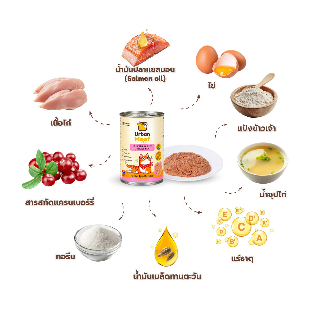 URBAN MOOF | WET CAT FOOD -  CHICKEN IN JELLY FOR KITTEN