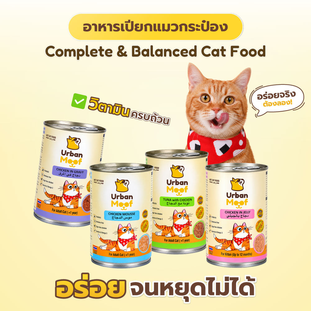 URBAN MOOF | WET CAT FOOD -  CHICKEN