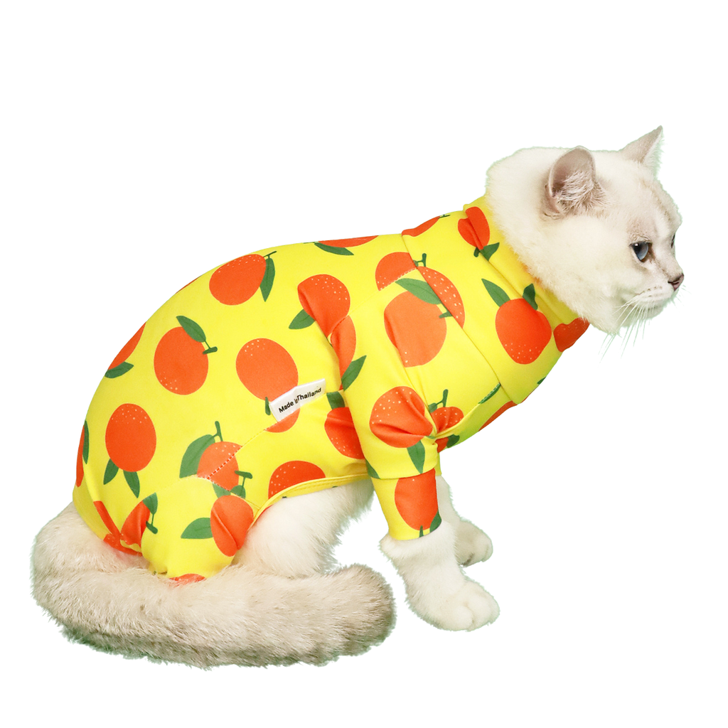 CLAWSET Studio | Fruity Protection suit -Orange - CLAWSET BANGKOK