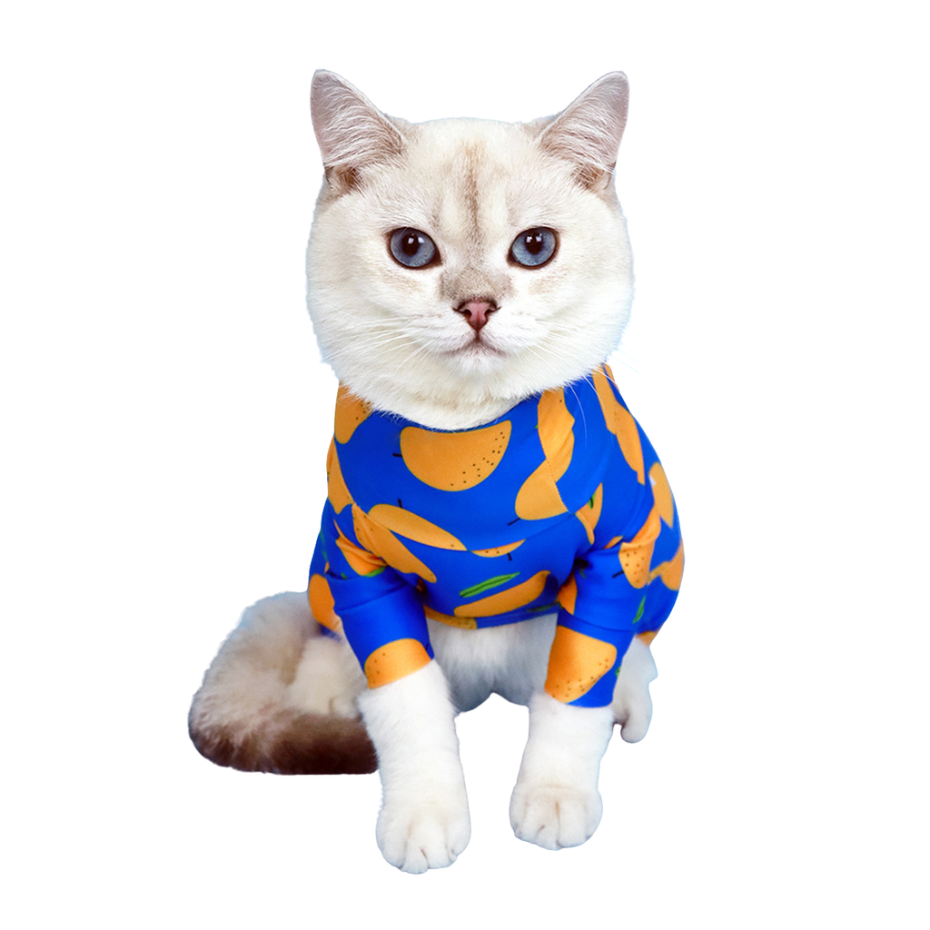 CLAWSET Studio | Fruity Protection suit -Mango - CLAWSET BANGKOK
