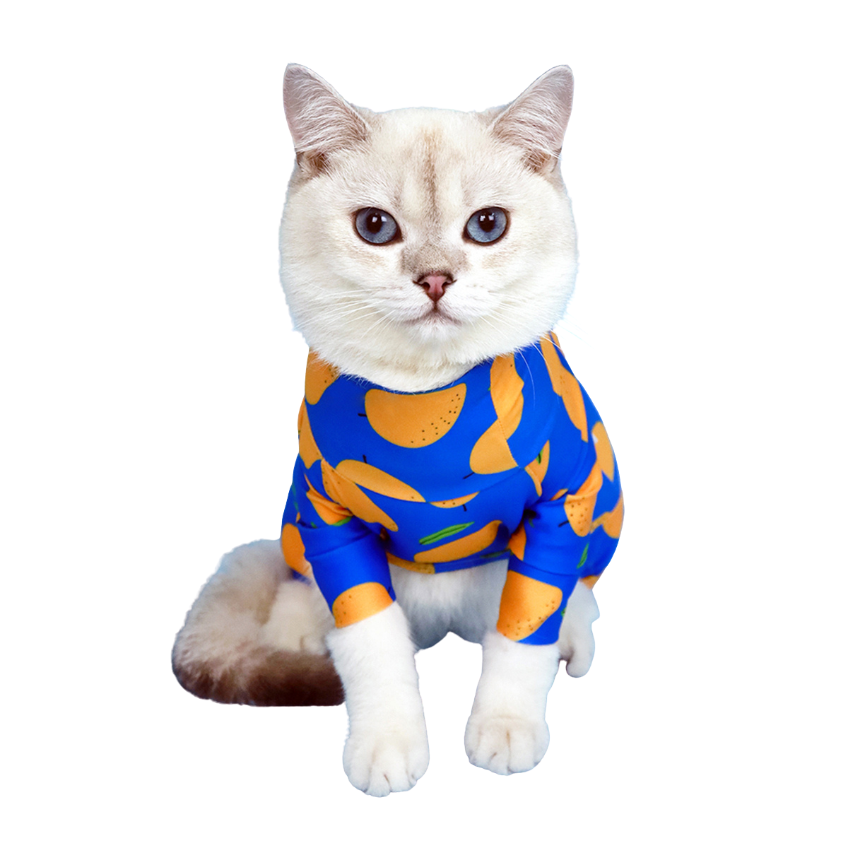 CLAWSET Studio | Fruity Protection suit -Mango