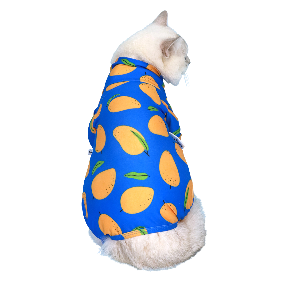 CLAWSET Studio | Fruity Protection suit -Mango