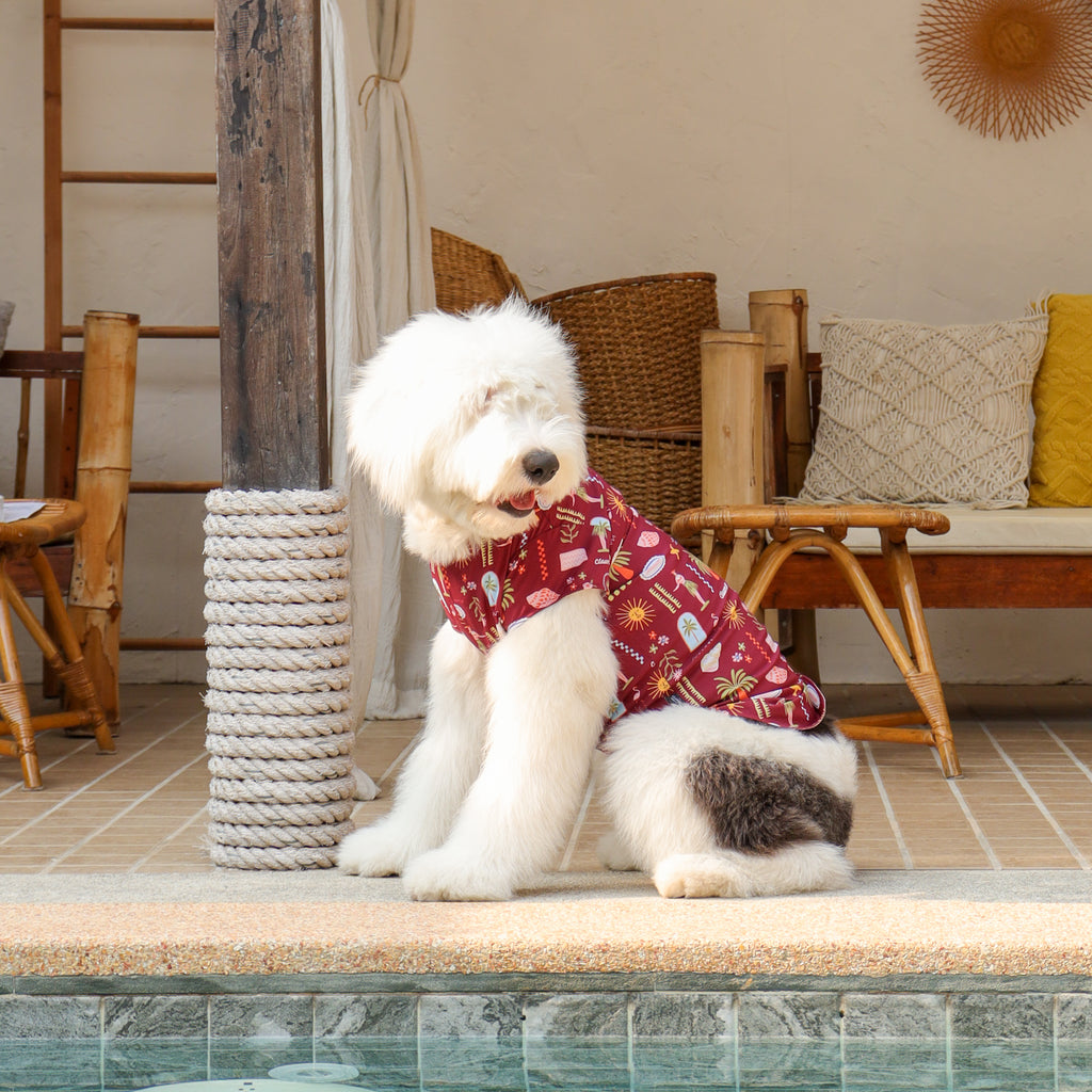 CLAWSET Studio | Hawaii's Calling! - Pet Shirt - Maroon