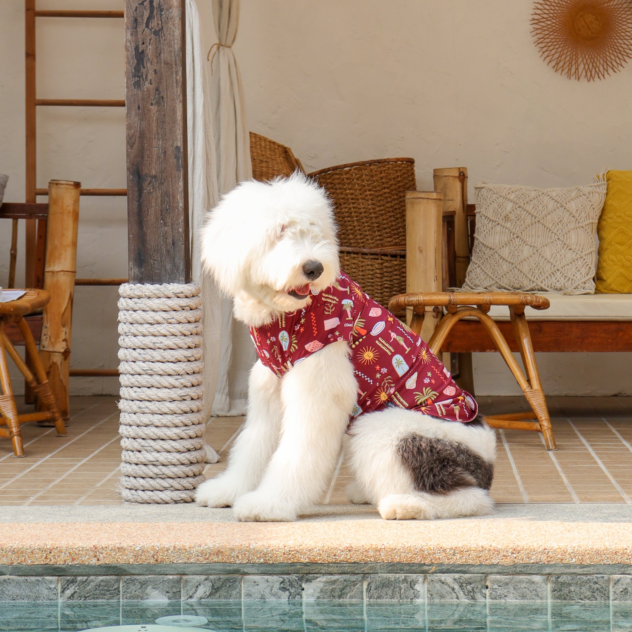 CLAWSET Studio | Hawaii's Calling! - Pet Shirt - Maroon