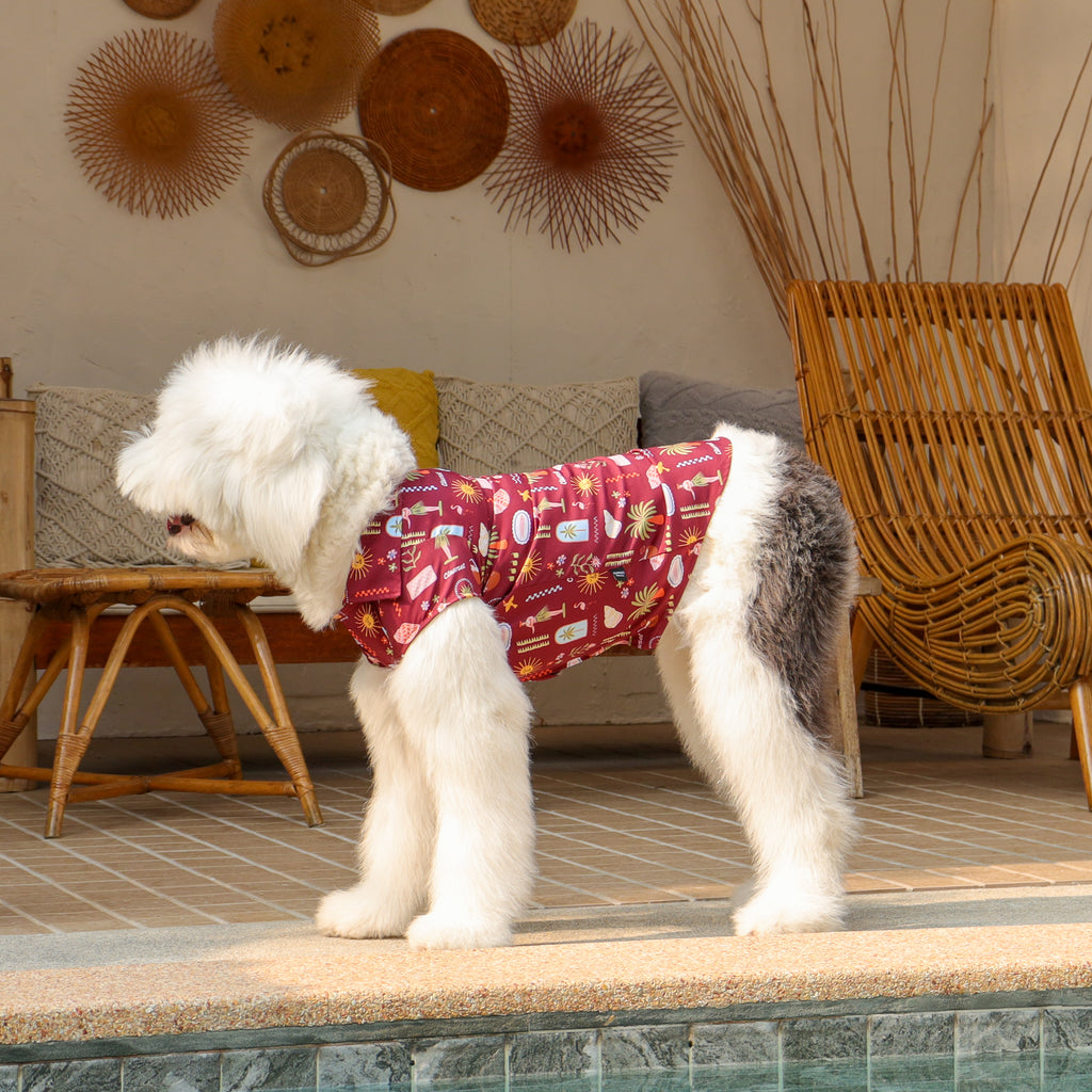 CLAWSET Studio | Hawaii's Calling! - Pet Shirt - Maroon
