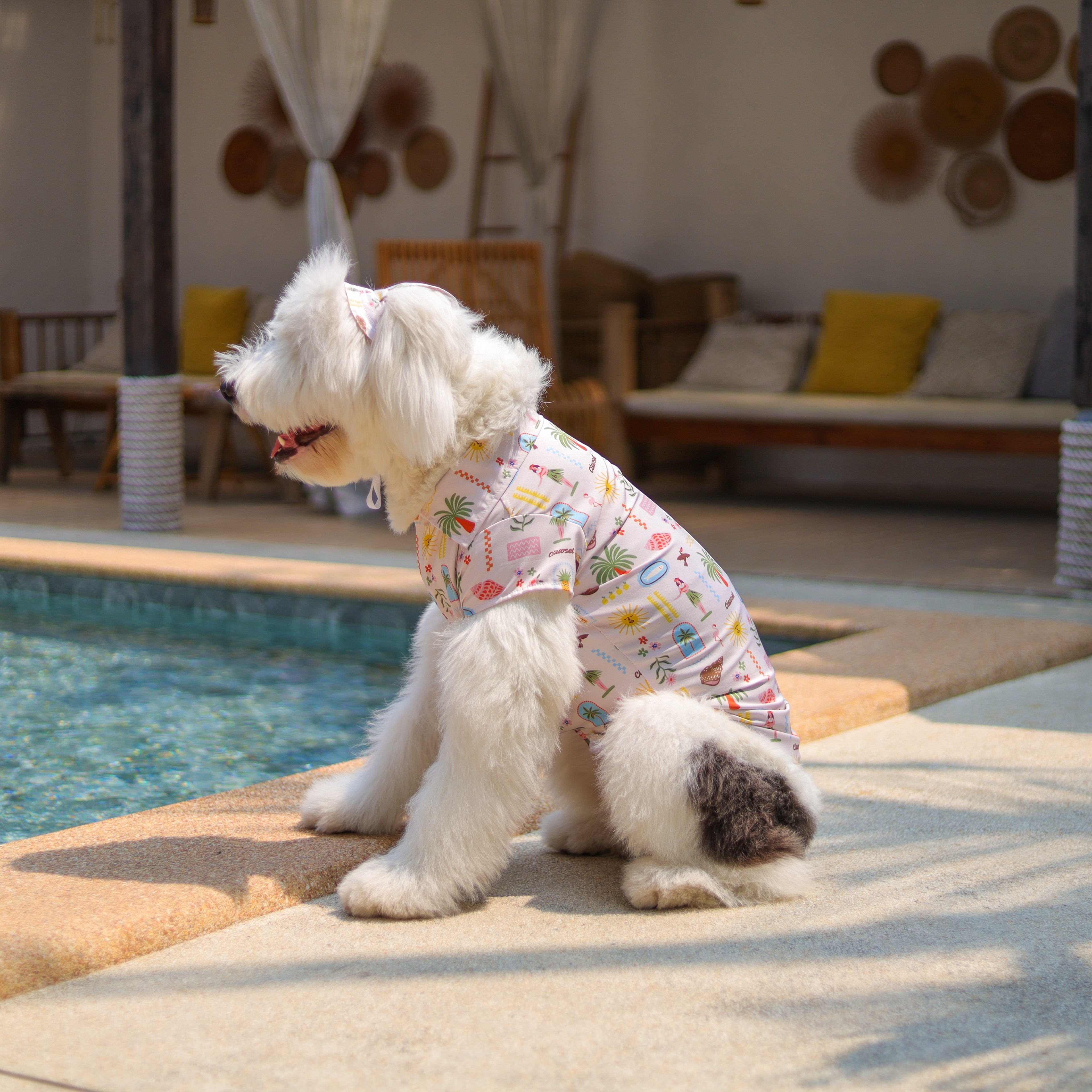 CLAWSET Studio | Hawaii's Calling! - Pet Shirt - Sand