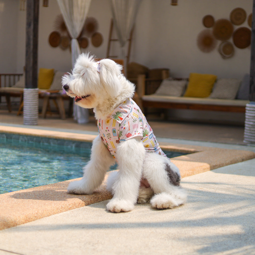 CLAWSET Studio | Hawaii's Calling! -Pet Hat- Sand