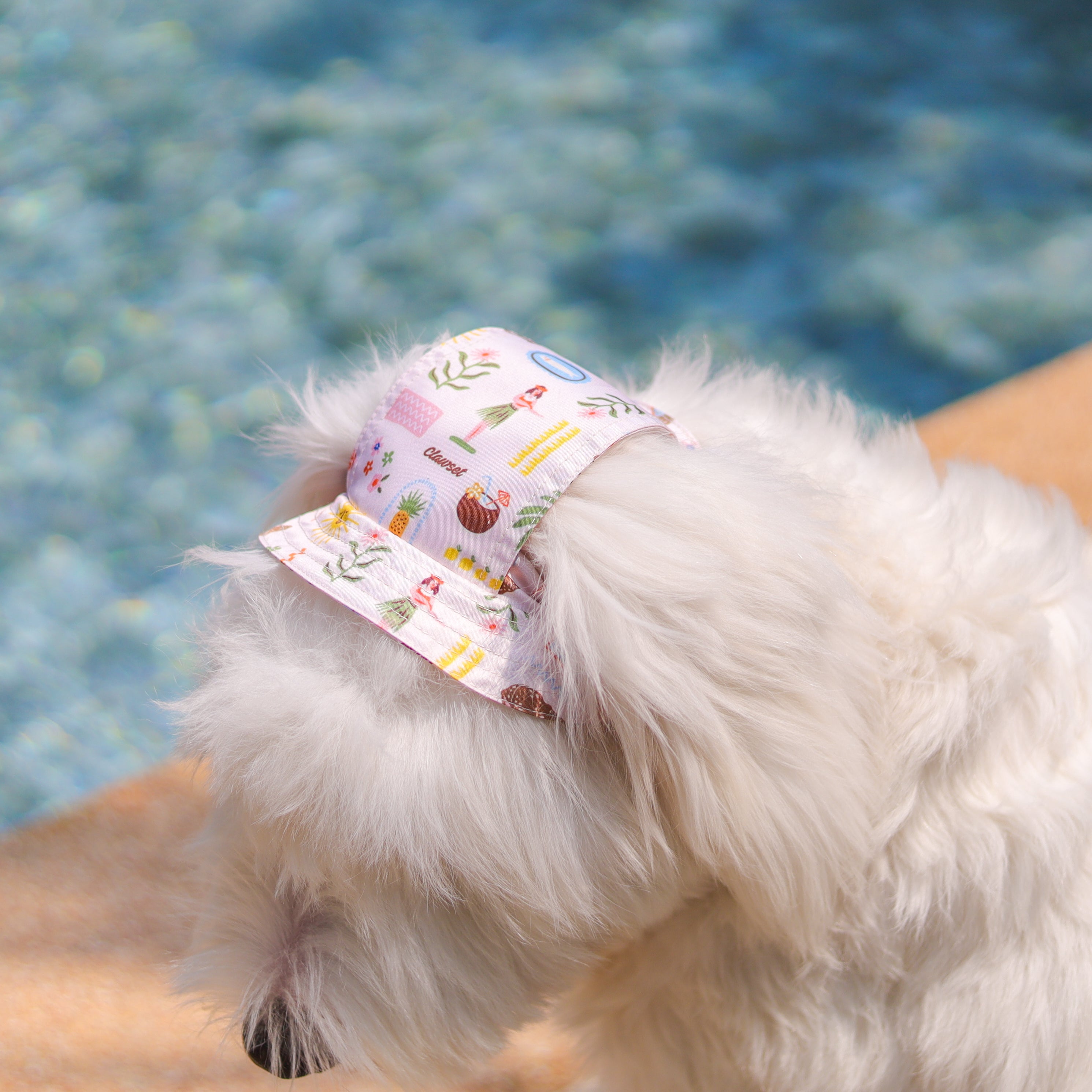 CLAWSET Studio | Hawaii's Calling! -Pet Hat- Sand