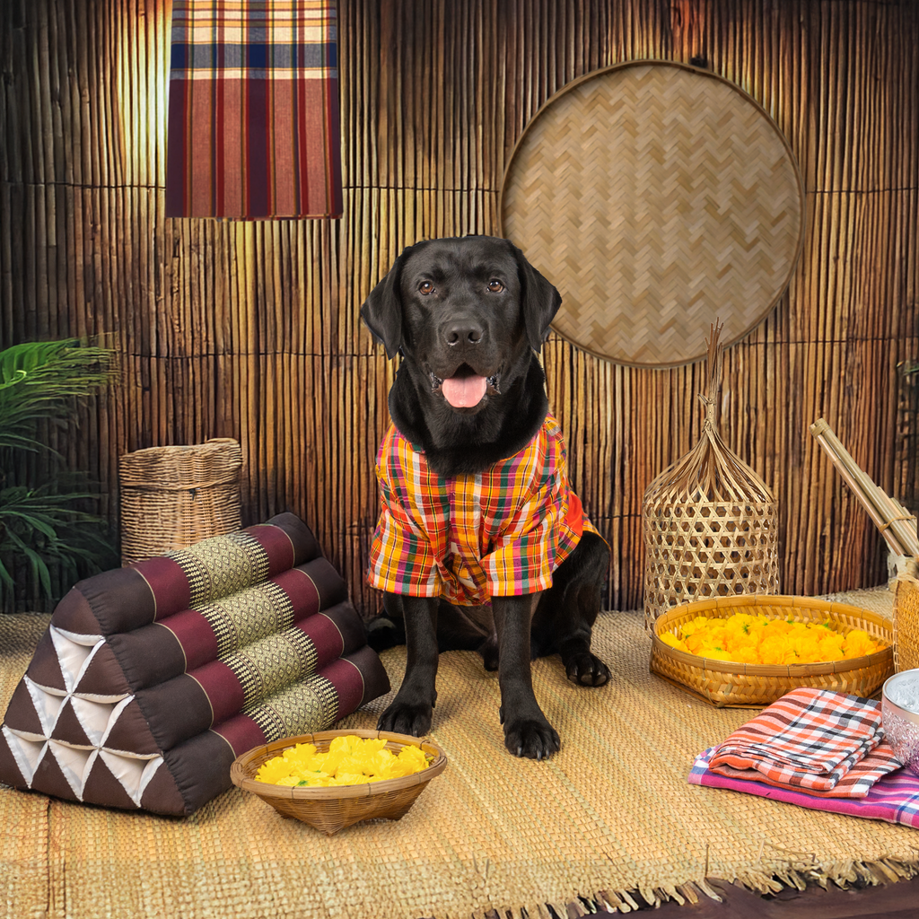 CLAWSET Studio | Amazing Thailand Collection