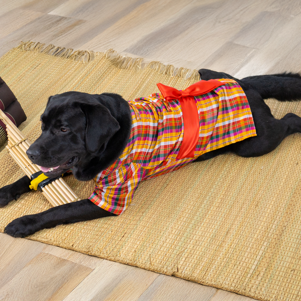 CLAWSET Studio | Amazing Thailand Collection