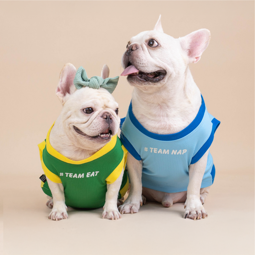 CLAWSET Studio | French Bulldog - Happy Wrinkle Collection - เสื้อกล้าม