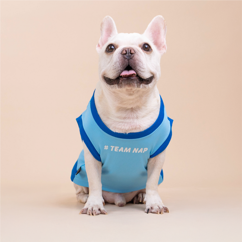 CLAWSET Studio | French Bulldog - Happy Wrinkle Collection - เสื้อกล้าม