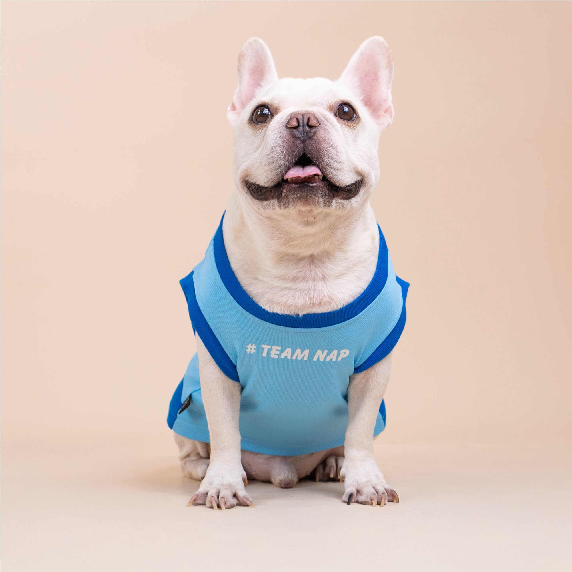CLAWSET Studio | French Bulldog - Happy Wrinkle Collection - เสื้อกล้าม