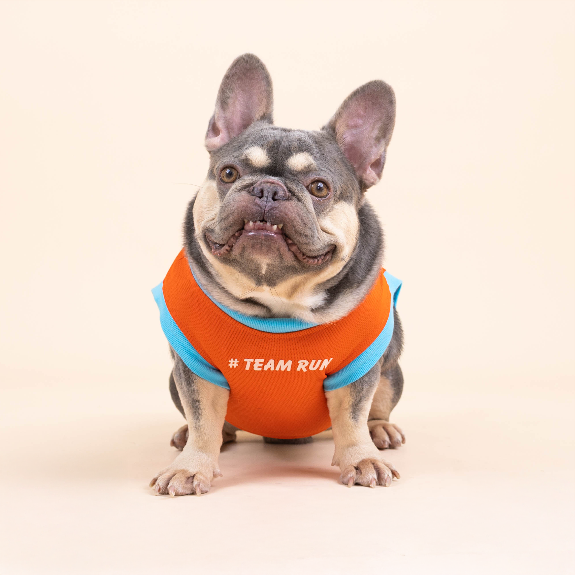 CLAWSET Studio | French Bulldog - Happy Wrinkle Collection - เสื้อกล้าม