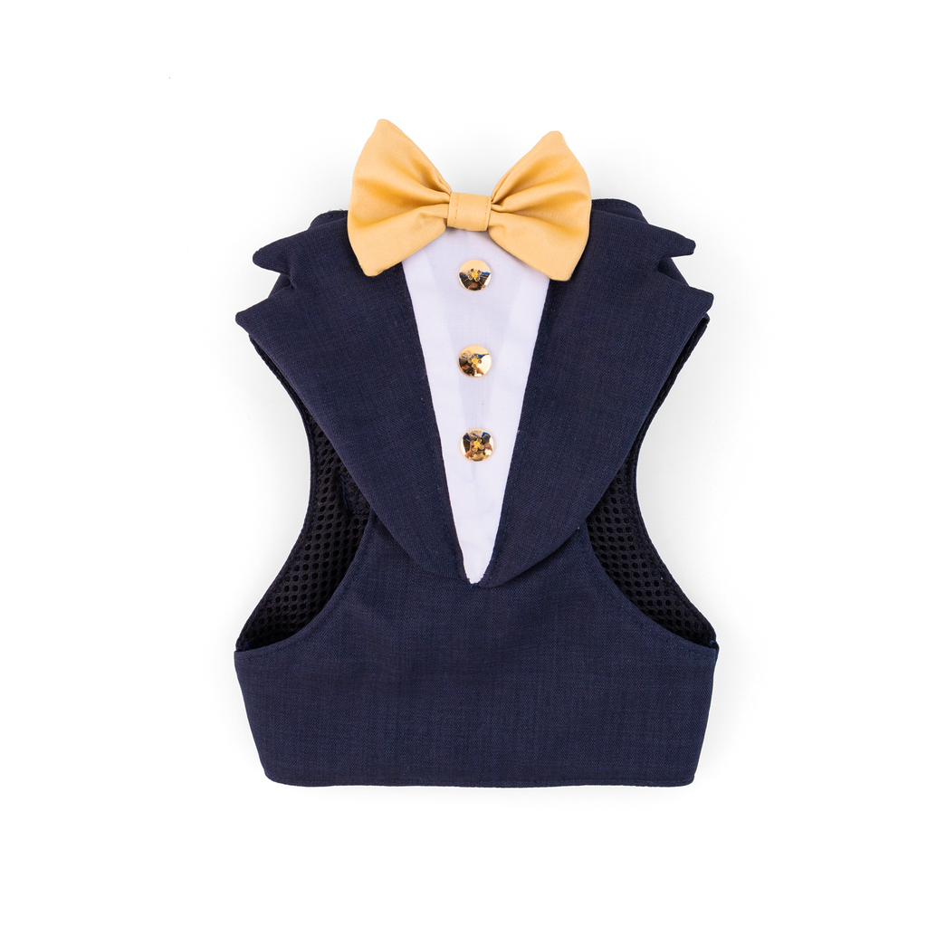 CLAWSET Studio | Bride & Groom Harness Set - Groom - Blue