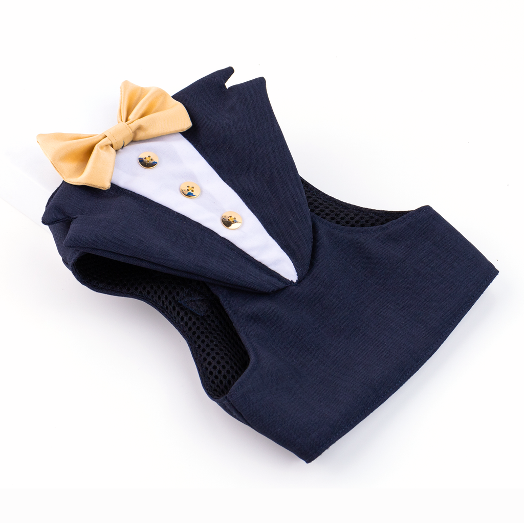 CLAWSET Studio | Bride & Groom Harness Set - Groom - Blue
