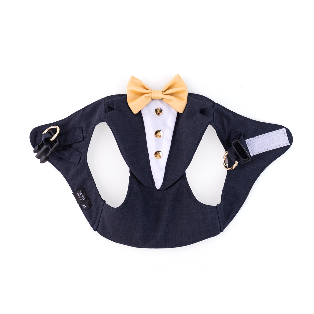 CLAWSET Studio | Bride & Groom Harness Set - Groom - Blue