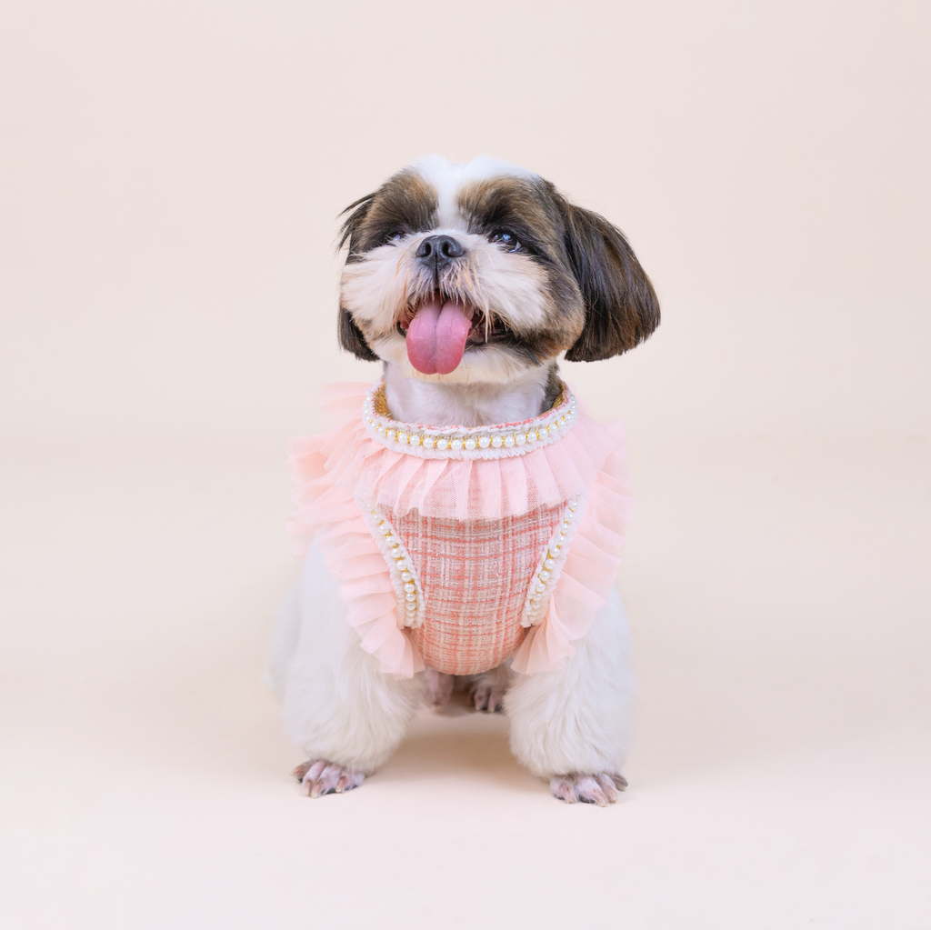CLAWSET Studio | Bride & Groom Harness Set - Bride- Pink