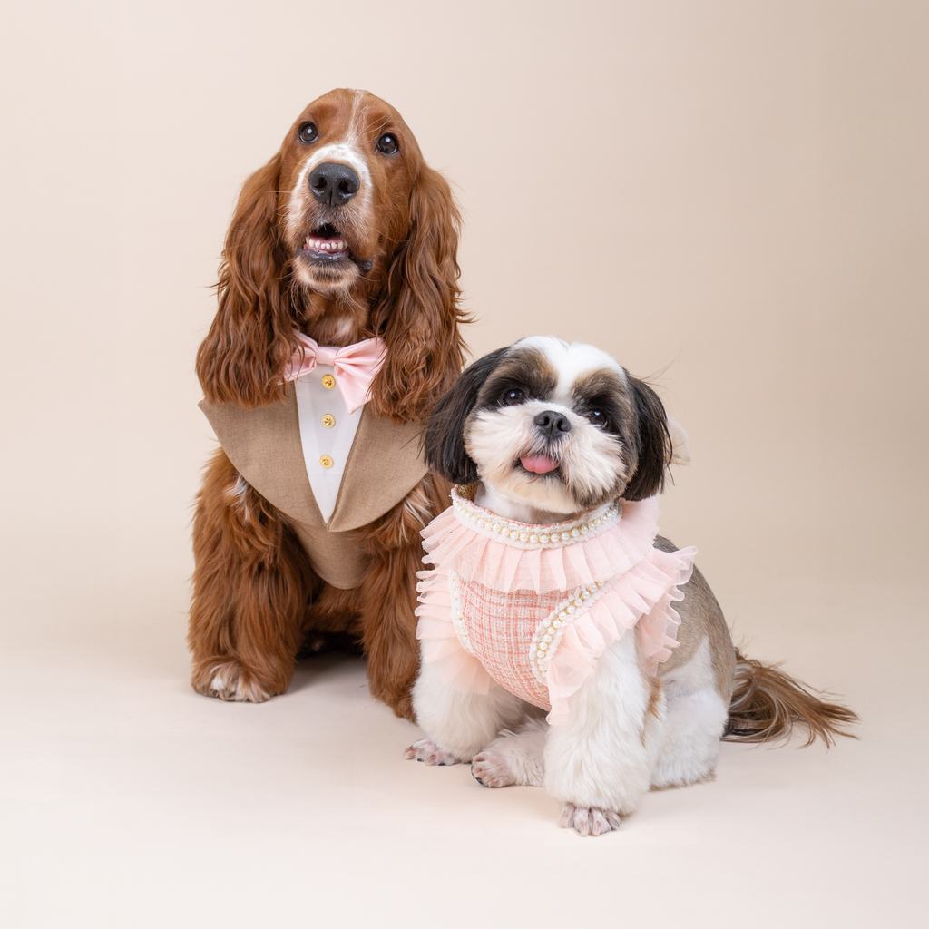 CLAWSET Studio | Bride & Groom Harness Set - Groom - Brown