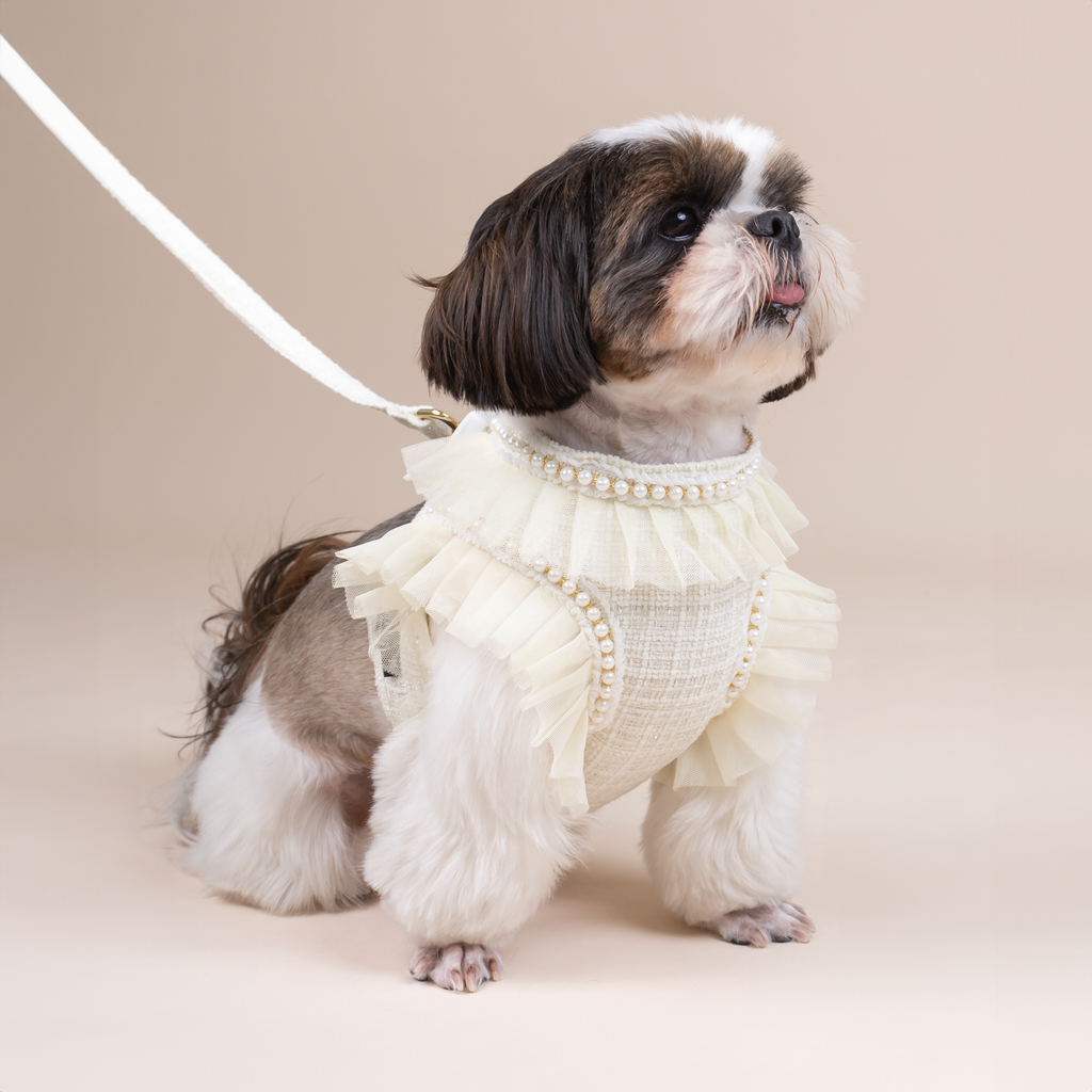 CLAWSET Studio | Bride & Groom Harness Set - Bride- Cream