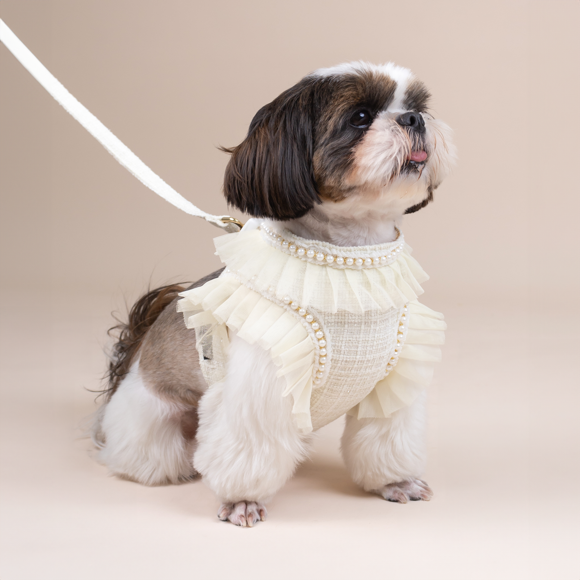 CLAWSET Studio | Bride & Groom Harness Set - Bride- Cream