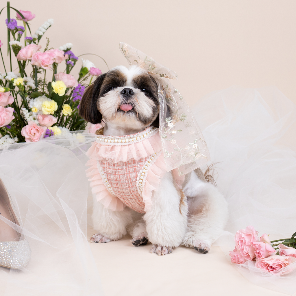 CLAWSET Studio | Bride & Groom Harness Set - Bride- Pink