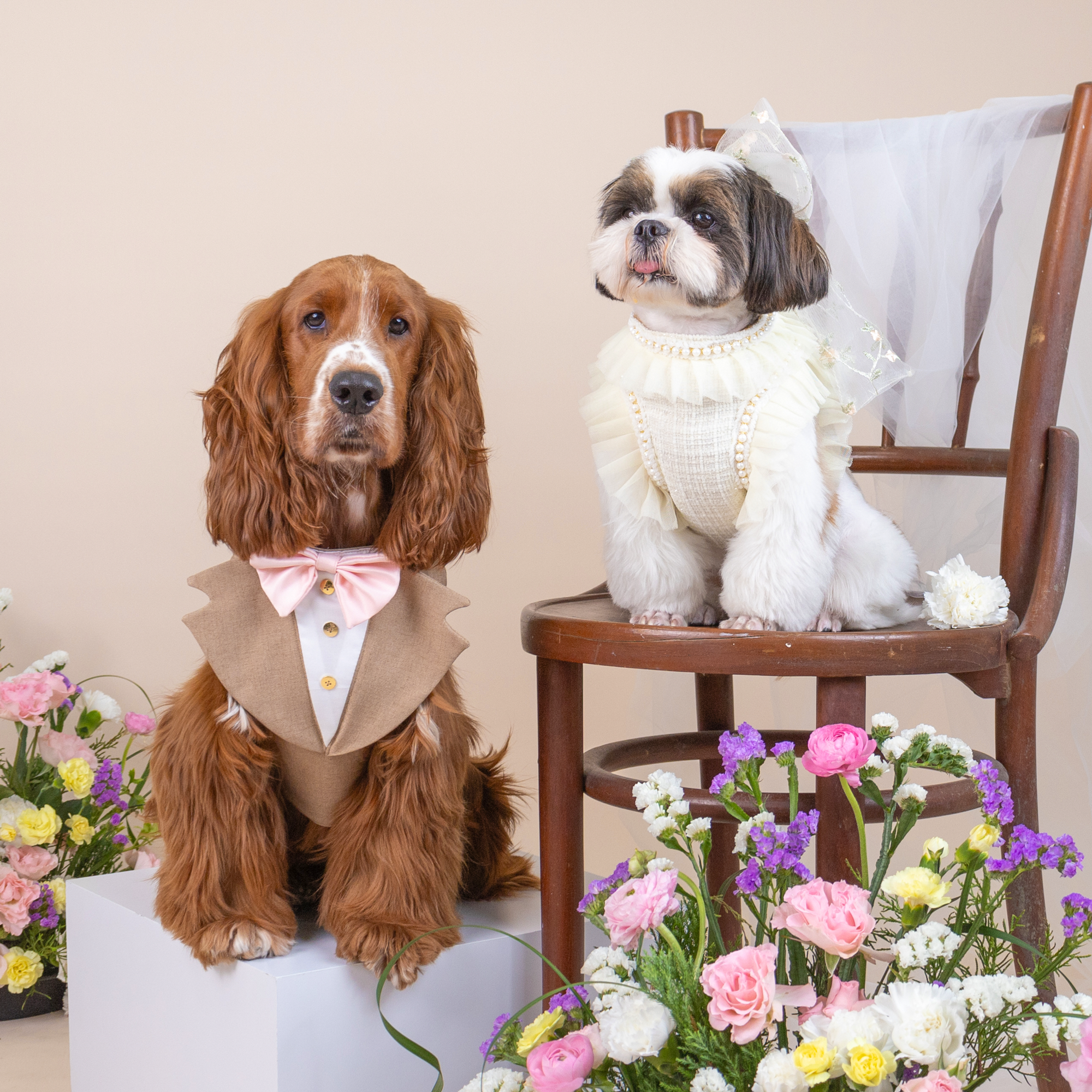 CLAWSET Studio | Bride & Groom Harness Set - Bride- Cream