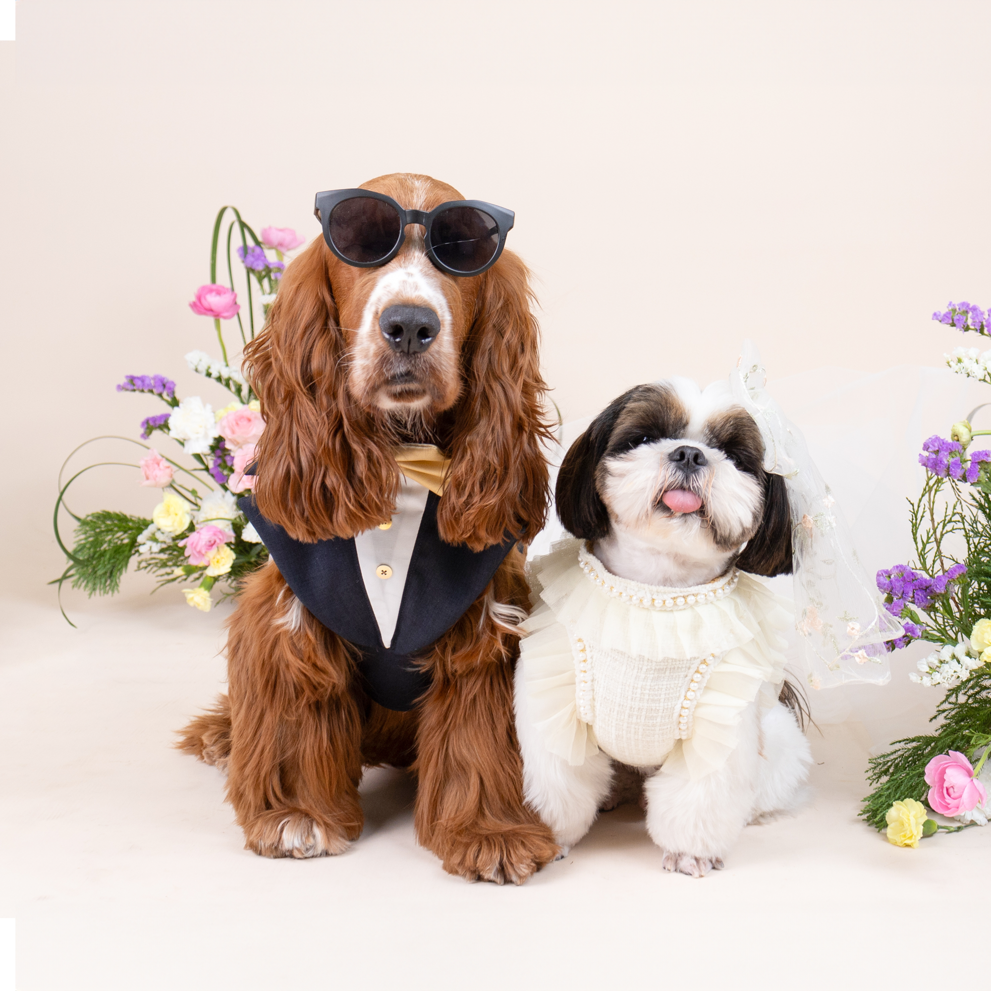 CLAWSET Studio | Bride & Groom Harness Set - Groom - Blue