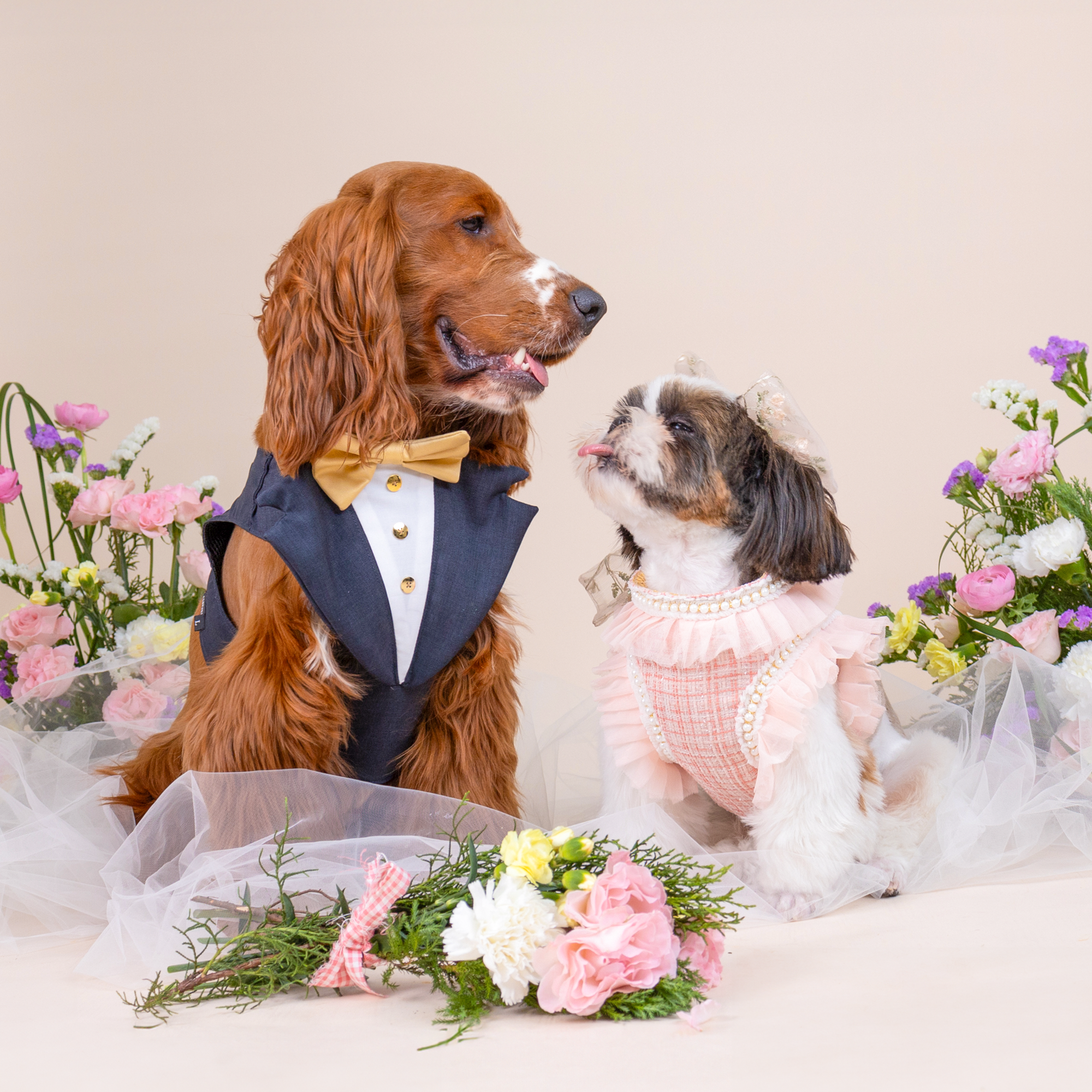 CLAWSET Studio | Bride & Groom Harness Set - Groom - Blue