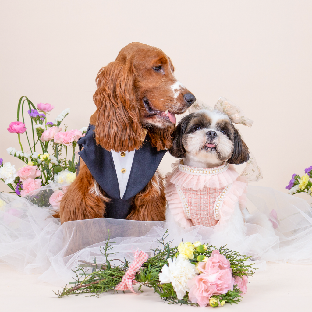 CLAWSET Studio | Bride & Groom Harness Set - Bride- Pink