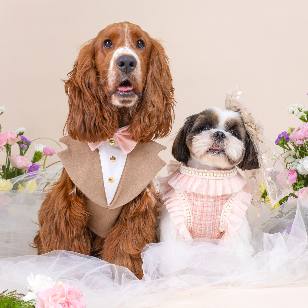 CLAWSET Studio | Bride & Groom Harness Set - Bride- Pink