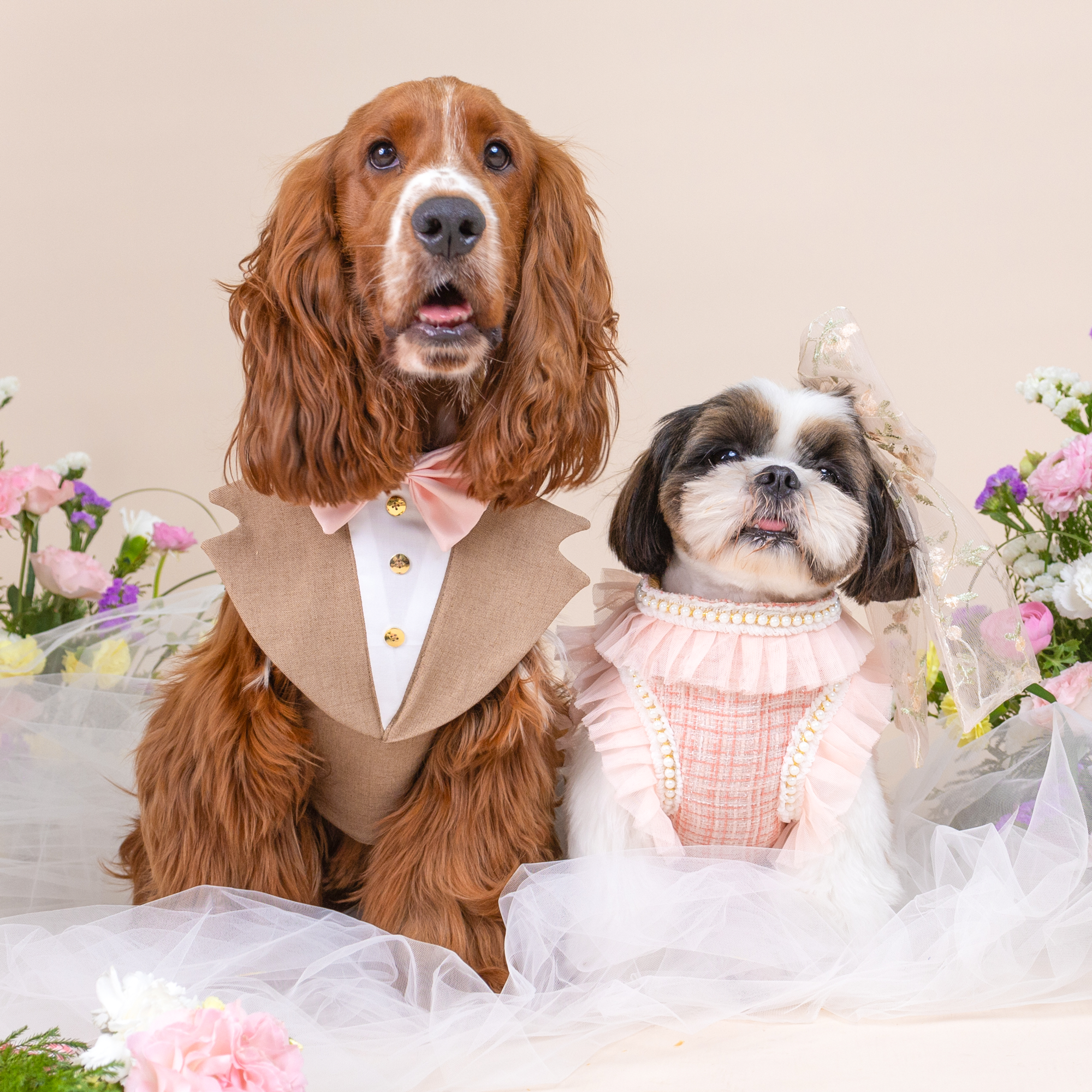 CLAWSET Studio | Bride & Groom Harness Set - Bride- Pink