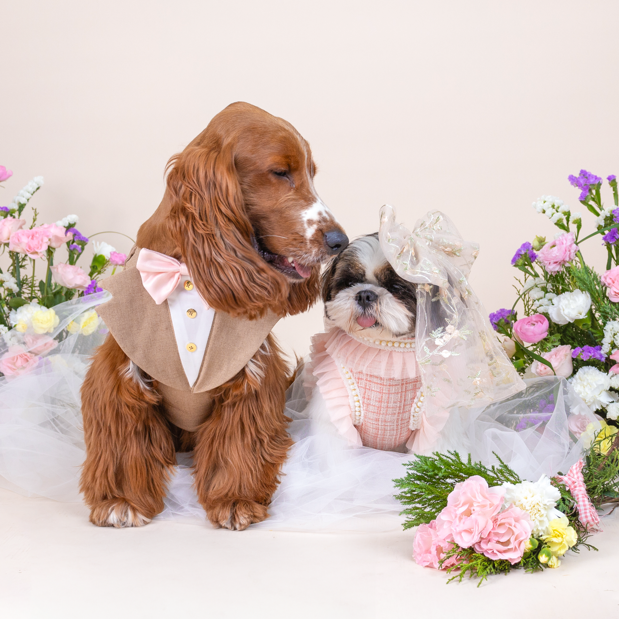 CLAWSET Studio | Bride & Groom Harness Set - Bride- Pink