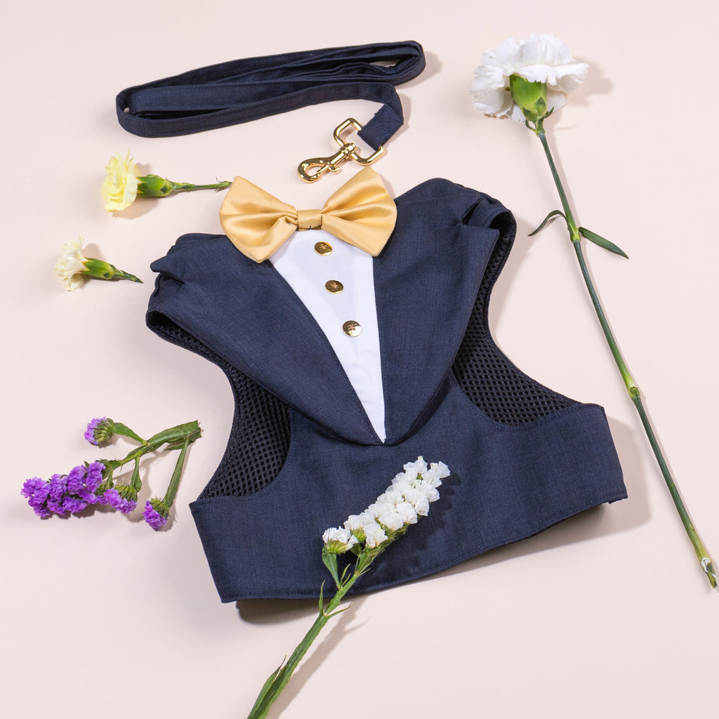 CLAWSET Studio | Bride & Groom Harness Set - Groom - Blue
