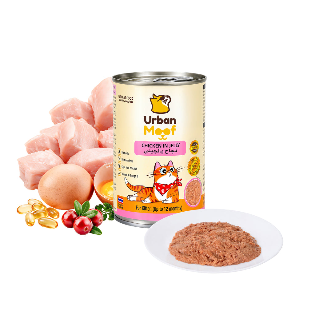 URBAN MOOF | WET CAT FOOD -  CHICKEN IN JELLY FOR KITTEN