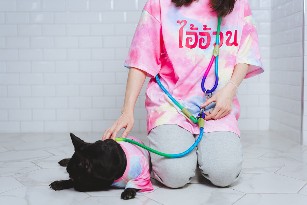 CLAWSET Studio | เสื้อคู่เจ้าของ x สัตว์เลี้ยง เสื้อหมาแมว มัดย้อม สกรีนลาย (เฉพาะเสื้อสัตว์เลี้ยง)