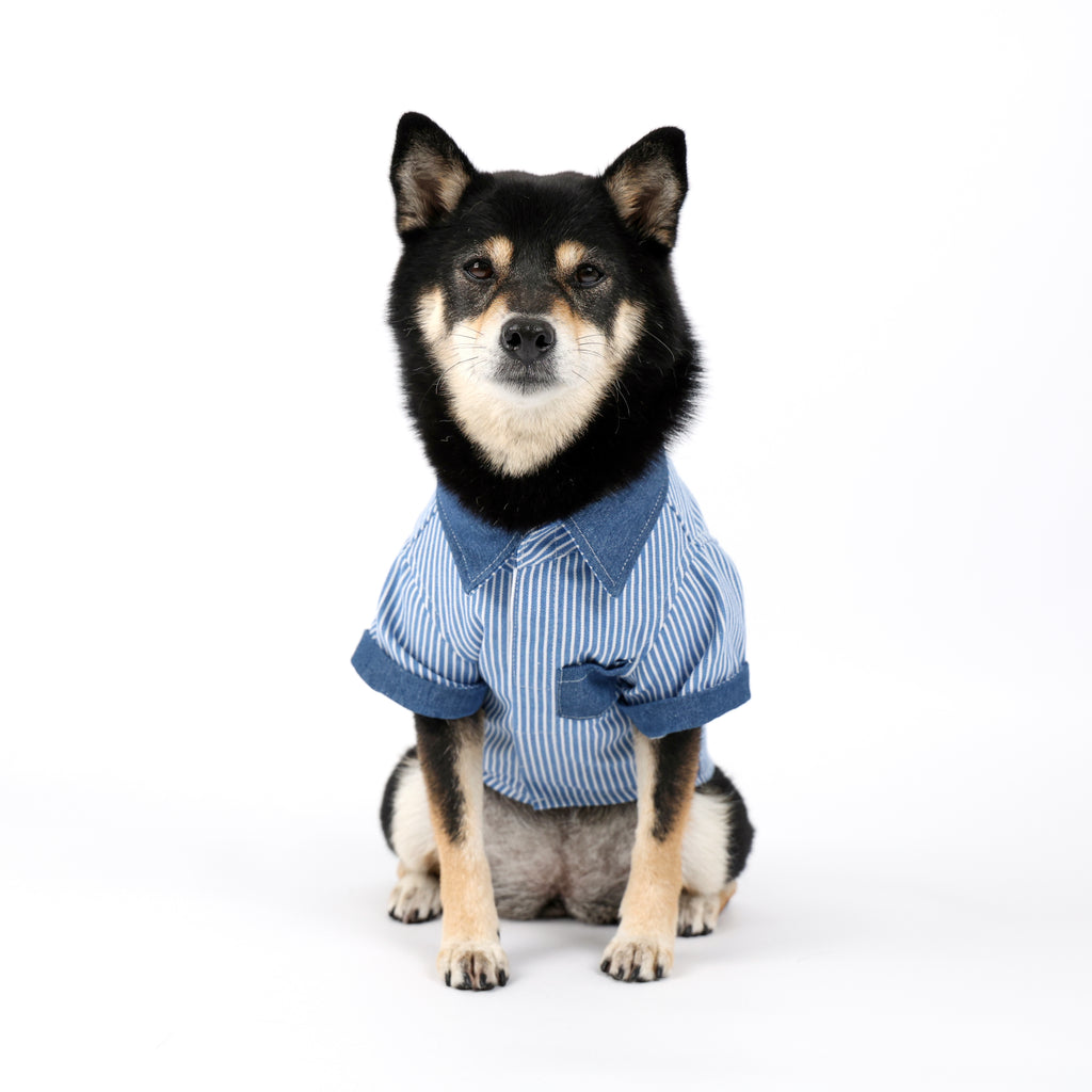 CLAWSET Studio® | Denim Collection - Stripe