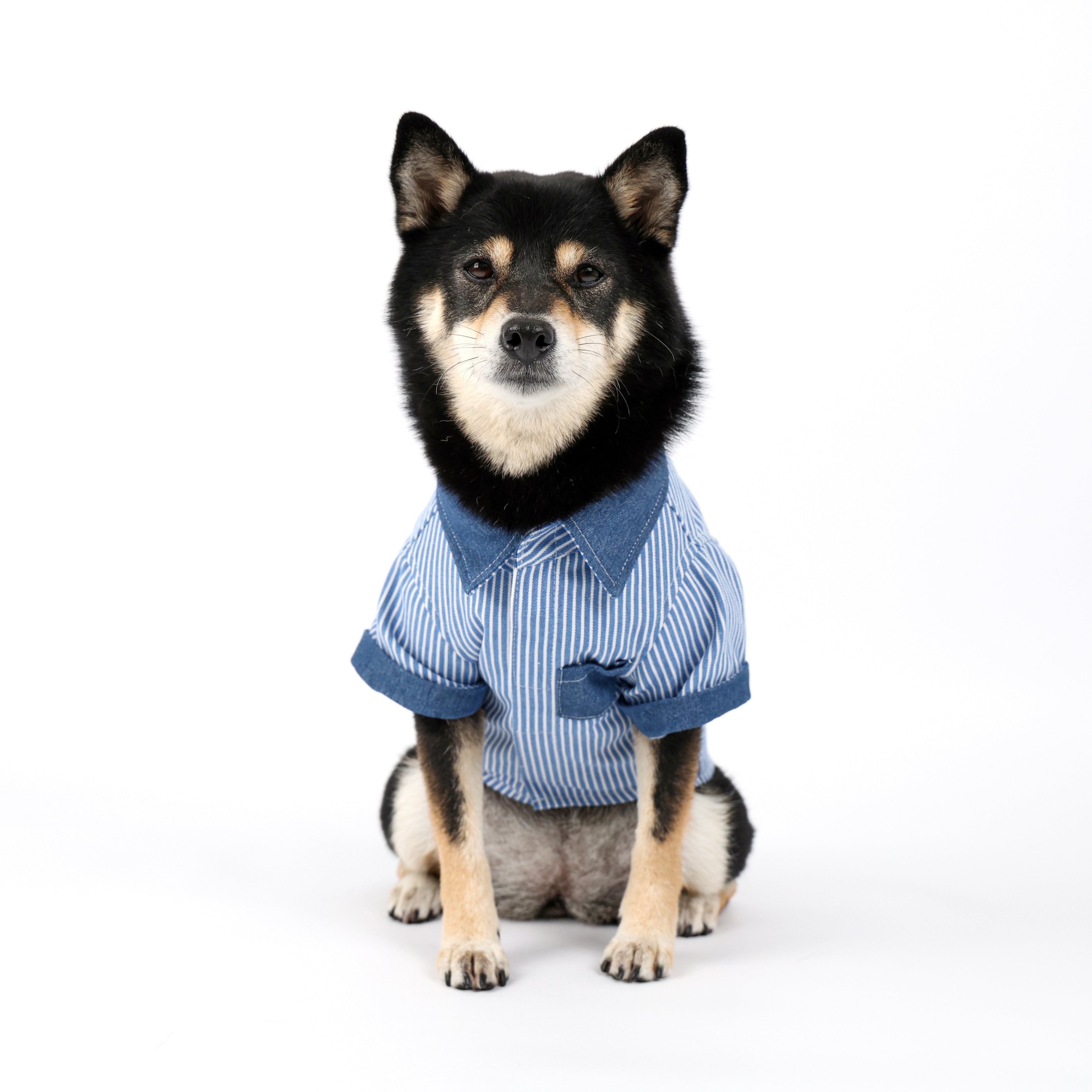 CLAWSET Studio® | Denim Collection - Stripe