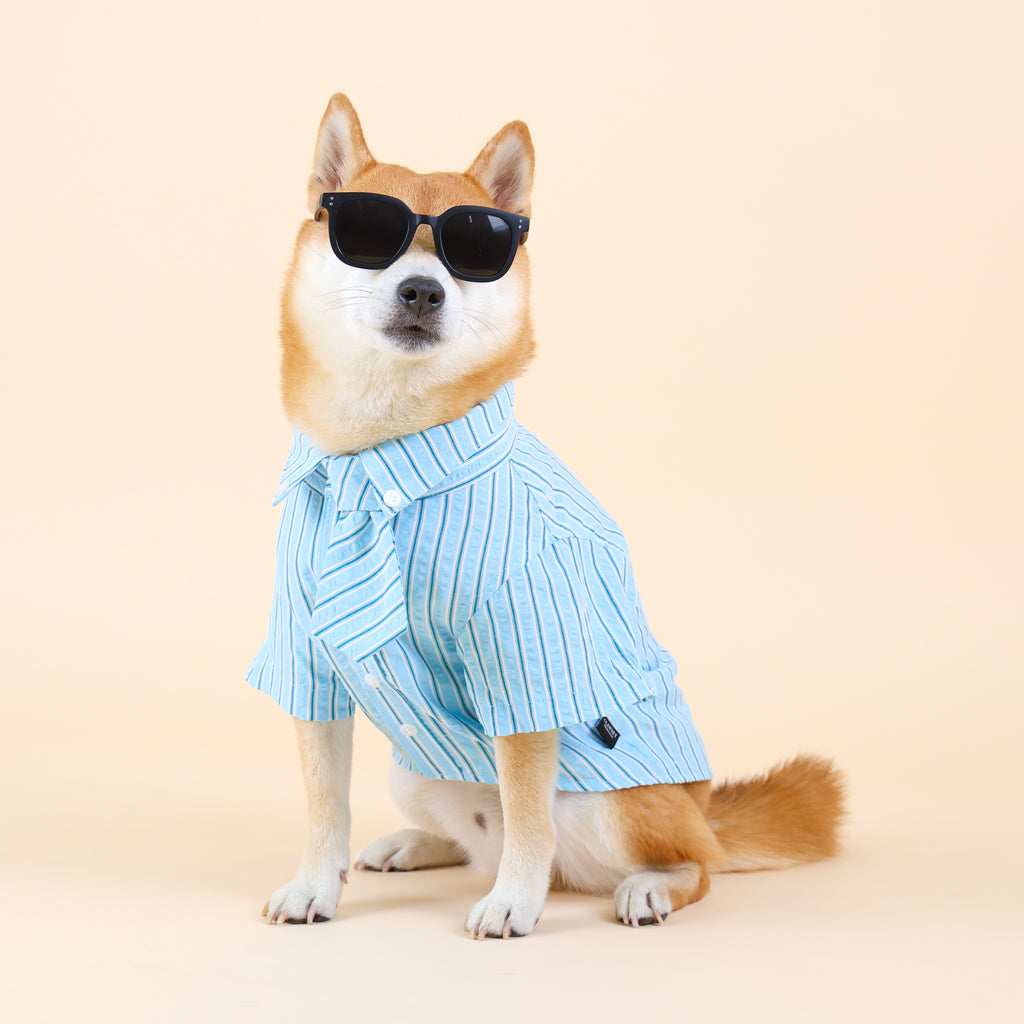CLAWSET Studio® | Mini Boss Collection - Blue