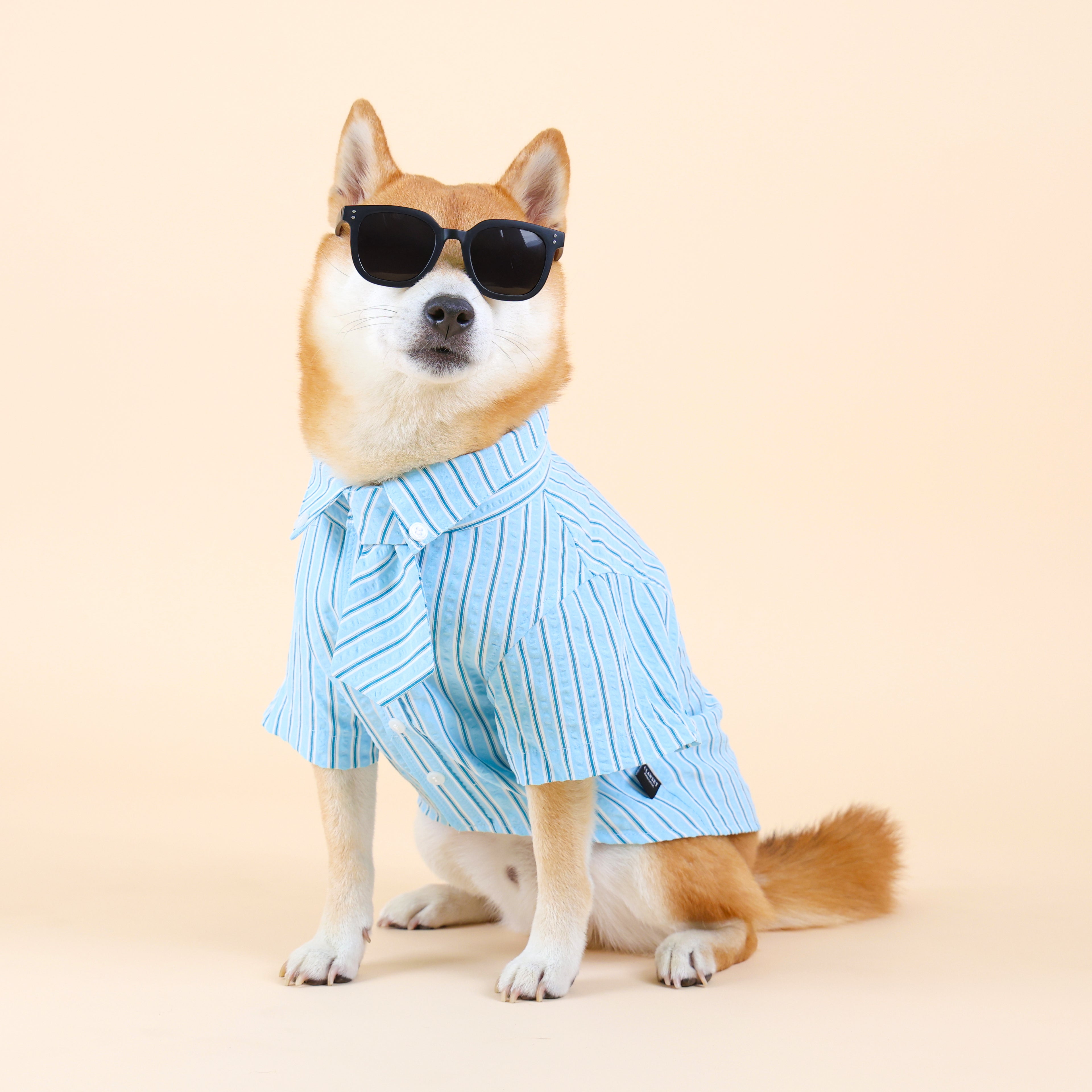 CLAWSET Studio® | Mini Boss Collection - Blue