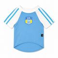 CLAWSET Studio® | PAW WORLD CUP 2026 -Argentina เสื้อฟุตบอลสัตว์เลี้ยงทีมชาติอาร์เจนติน่า